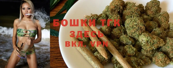 тгк Аркадак