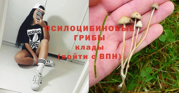 тгк Аркадак