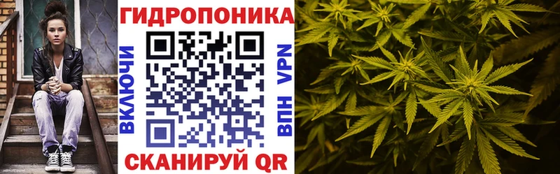 Бошки марихуана ГИДРОПОН Новоульяновск